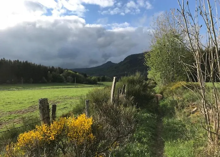 T3 Avec Balcon Au Mont-dore, Wifi, Proche Centre - Fr-1-608-155 *